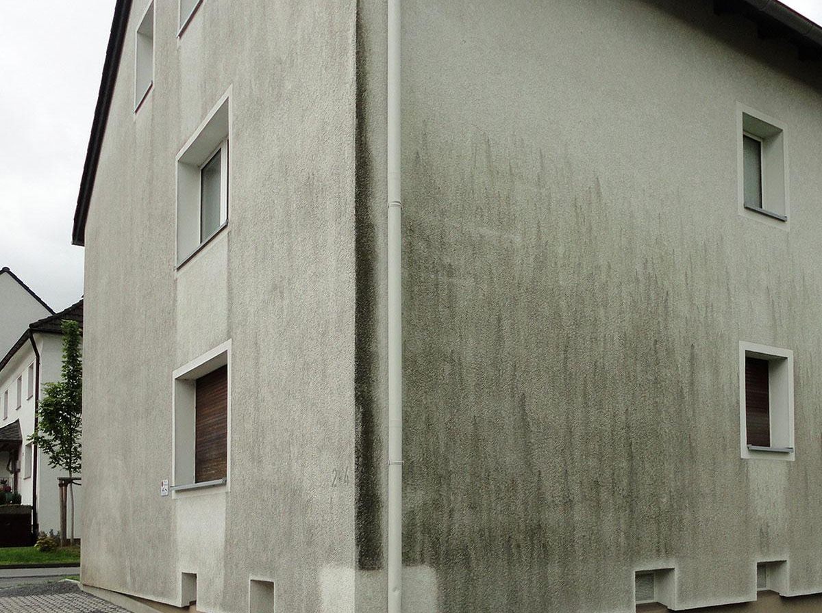 Hausfassade mit grünem Algenbewuchs und grauen Verwitterungsspuren